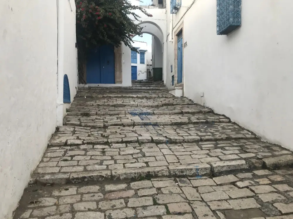 Cosy S3 At Sidi Bou Said Village