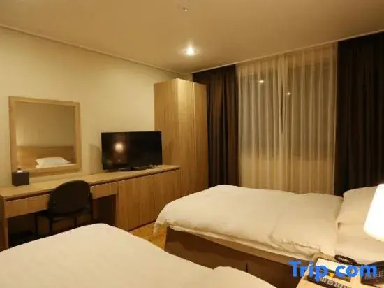 Standard Double room (twin beds)