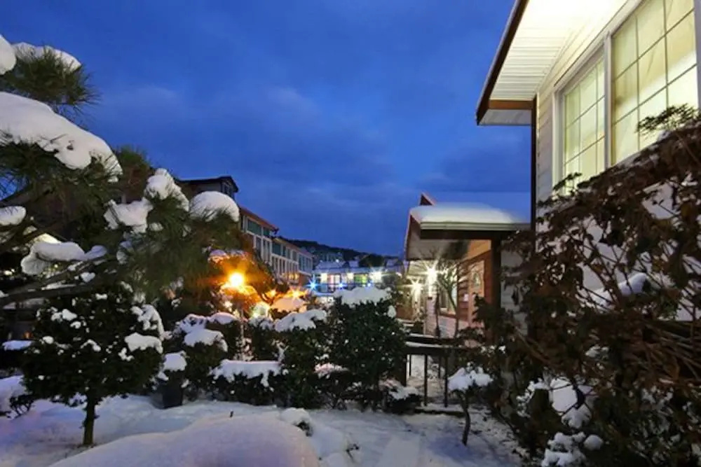 Anmyeondo Blue Ara Pension