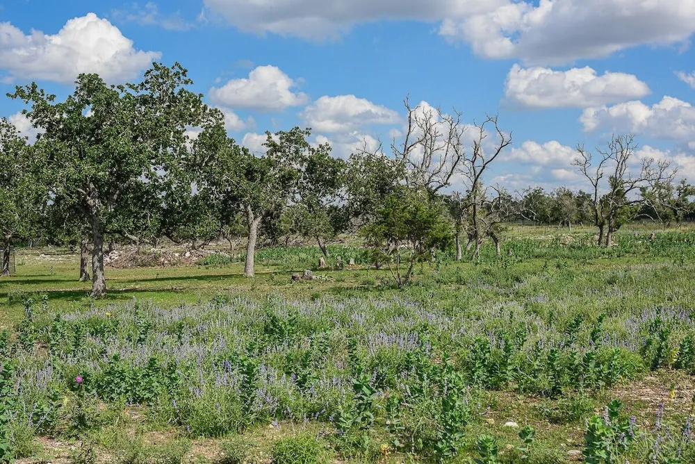 Best Fredericksburg Bed & Breakfast