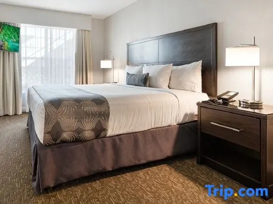 1 Bedroom Double Suite (full double bed)