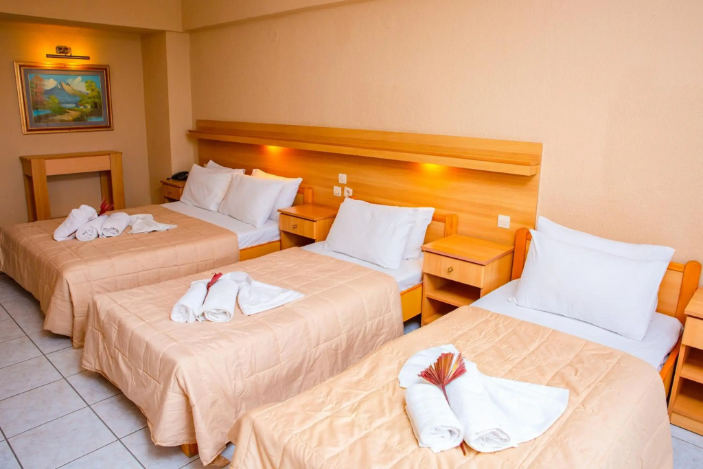 Hotel Themis - Général