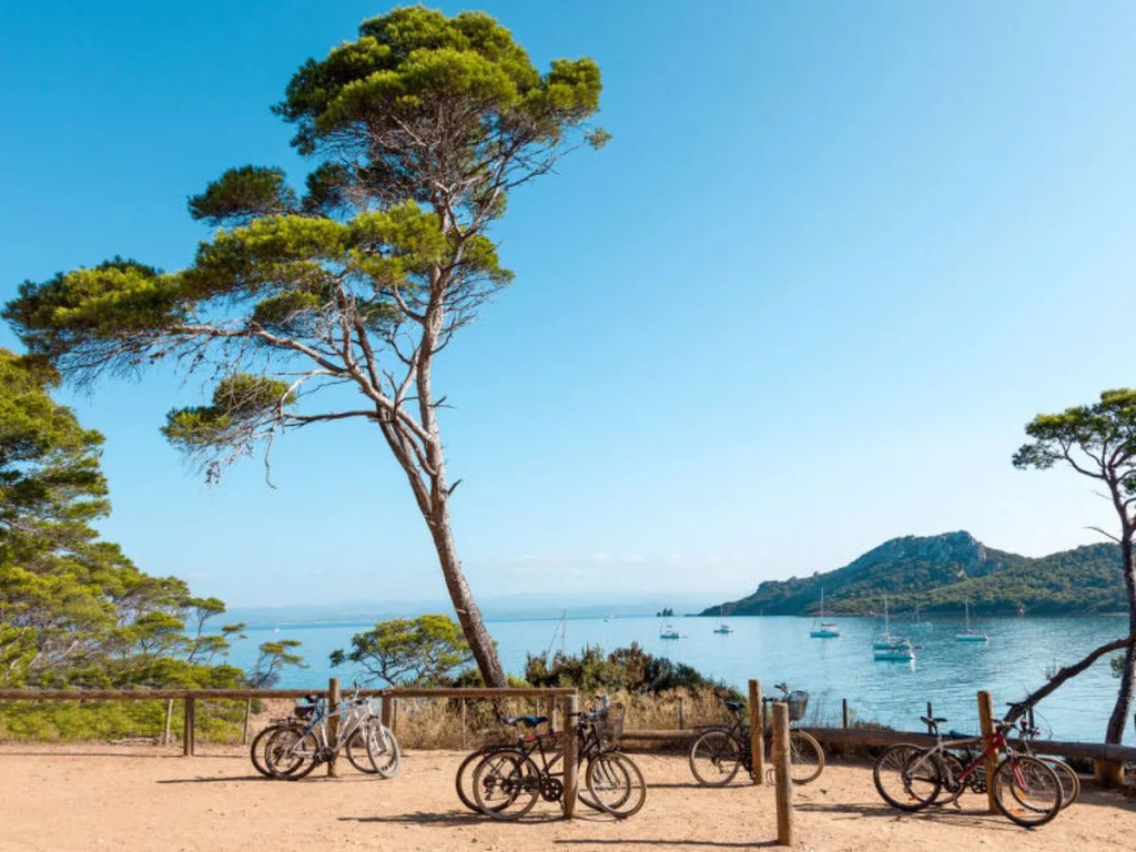 Beach & Waterfront