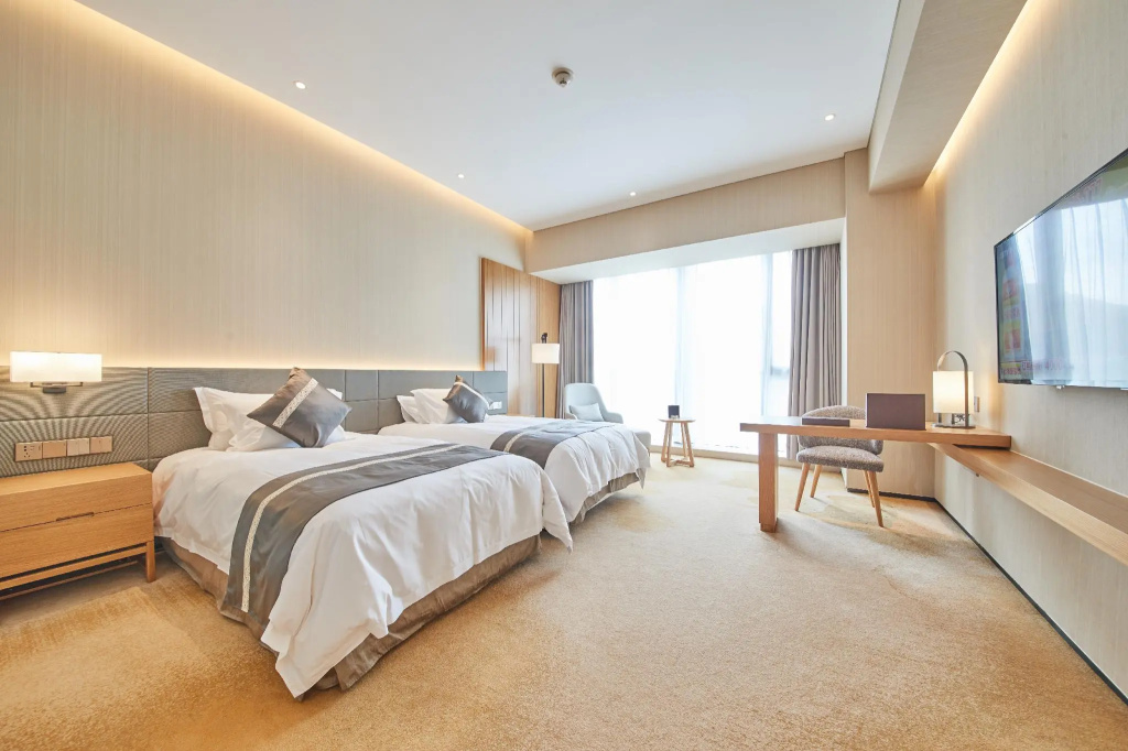 Superior Double room (twin beds)