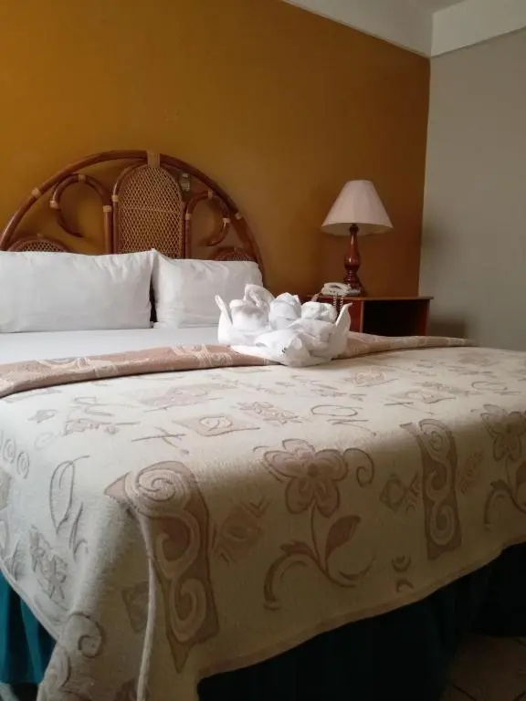 Hotel Dinastia Colima - Chambres