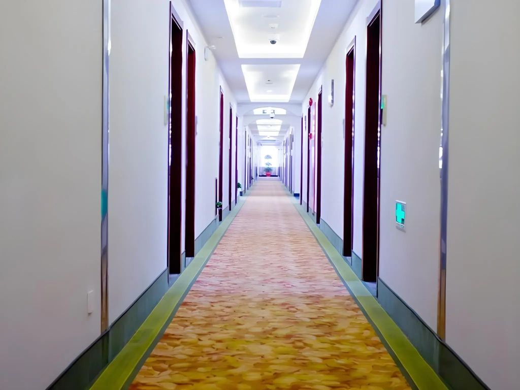 GreenTree Inn ShangHai JinShan Wanda Plaza Longxiang Road Express Hotel - Général