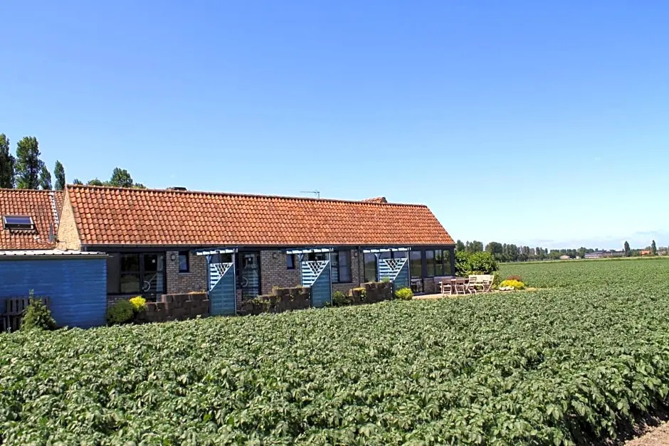 Ateljee Devlaux - фото 12