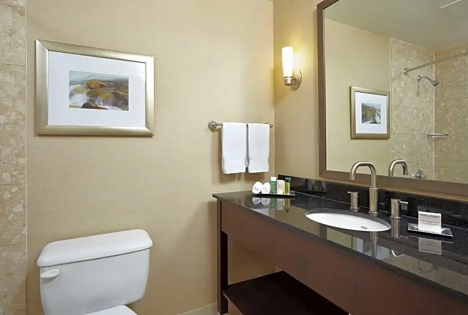 Standard Quadruple Junior Suite with city view