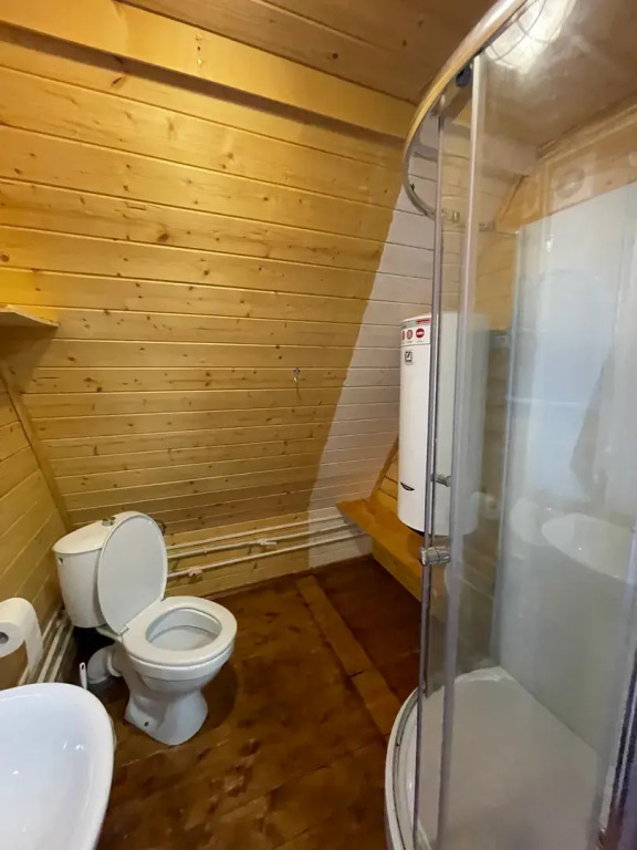 Избушка в лесу - фото 4