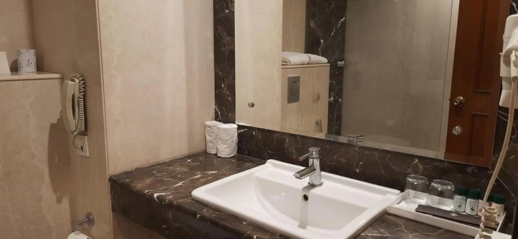 The Hans Hotel New Delhi - Général