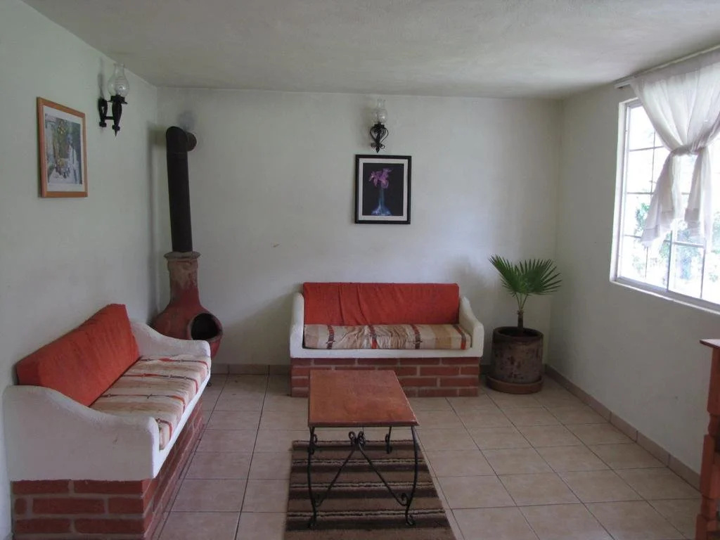 Cabañas Las Lagartijas del Lago - Général