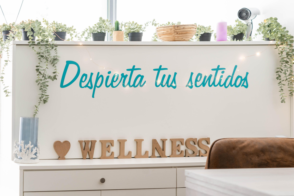 Hotel Planas — 2