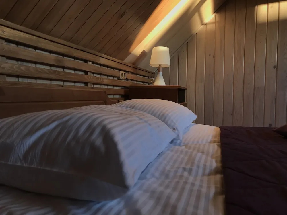 Standard Double room with mountain view (full double bed)