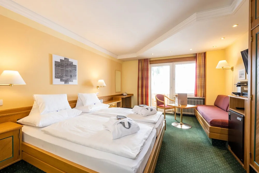 Hotel Alpina - Général