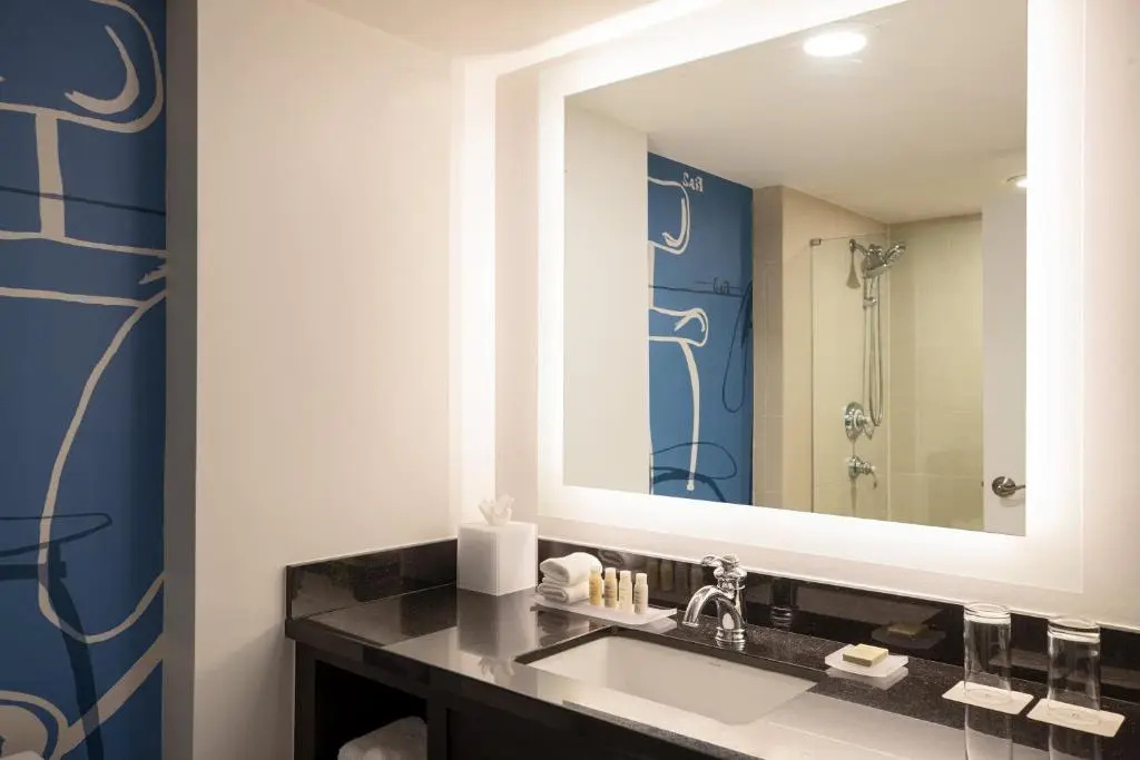 The Baronette Renaissance Detroit-Novi Hotel - Chambres
