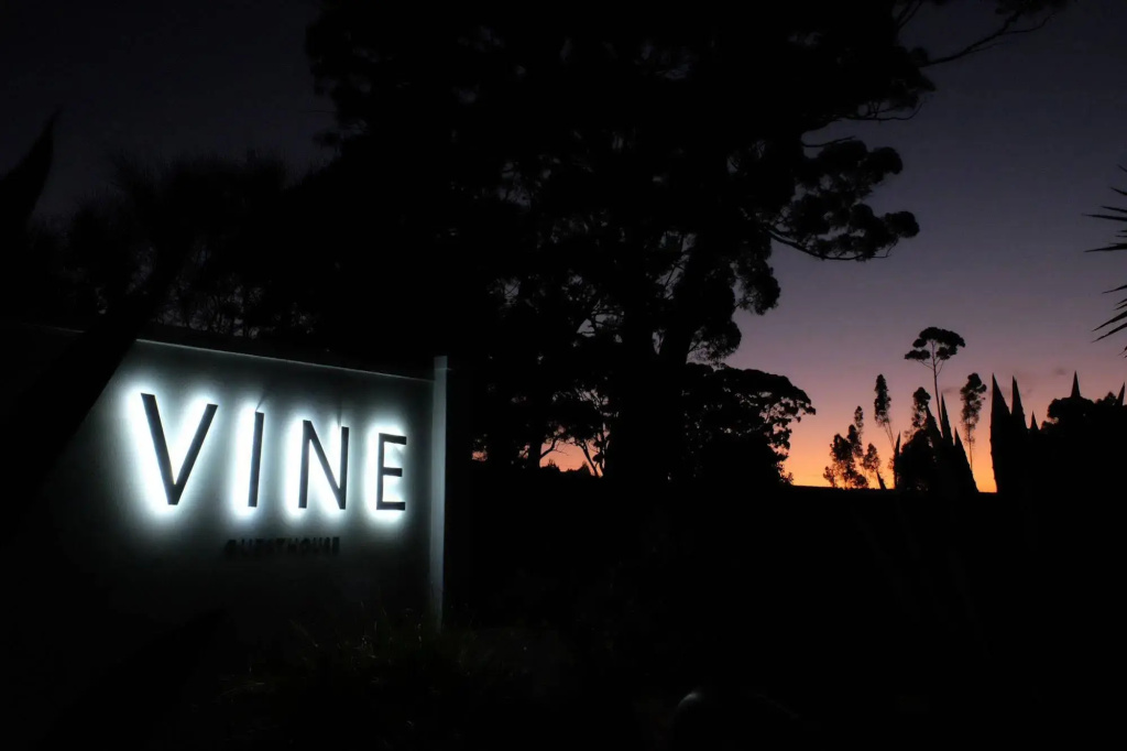 Vine Guesthouse