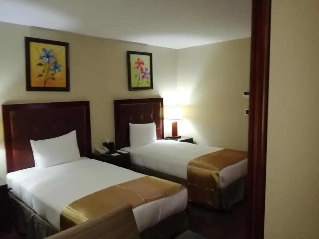 Executive Double room (twin beds)
