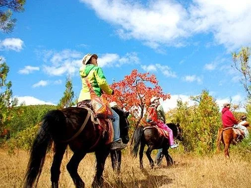 Lijiang Scenery Retreats Lake Front Villa Resort - фото 4