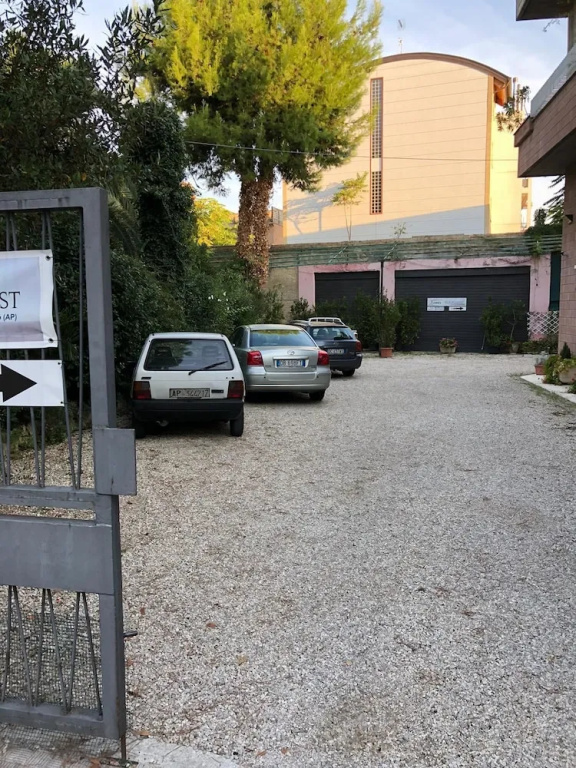 Gabbiano Bianco