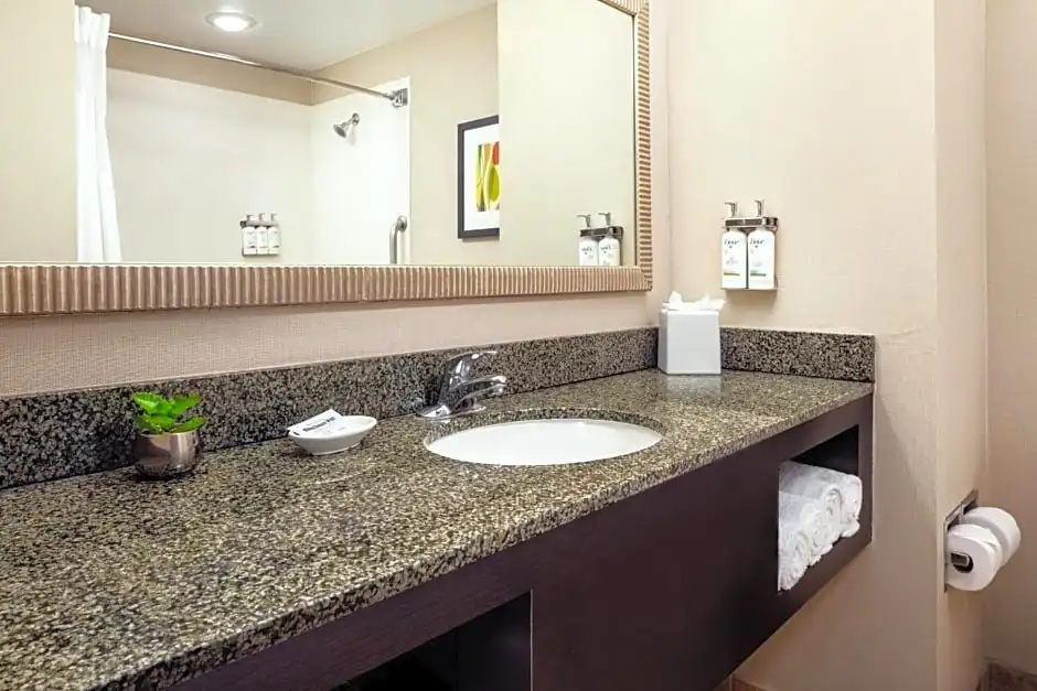 Holiday Inn Phoenix - Chandler by IHG - Chambres