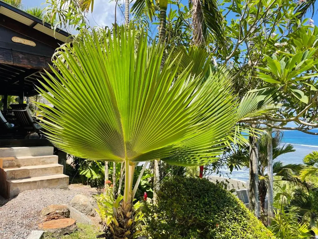 Chalets Bougainville - Chambres