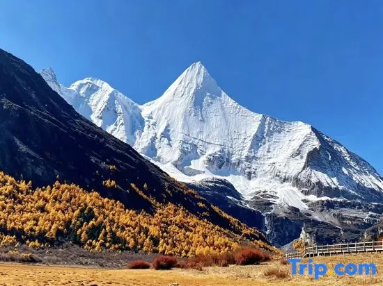 Daocheng Yading starry sky hotel