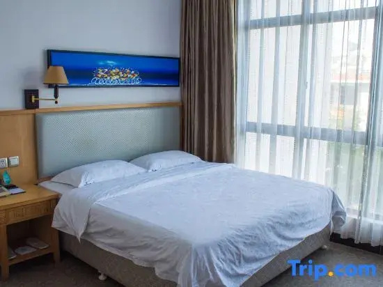 Standard Double room with city view (full double bed)