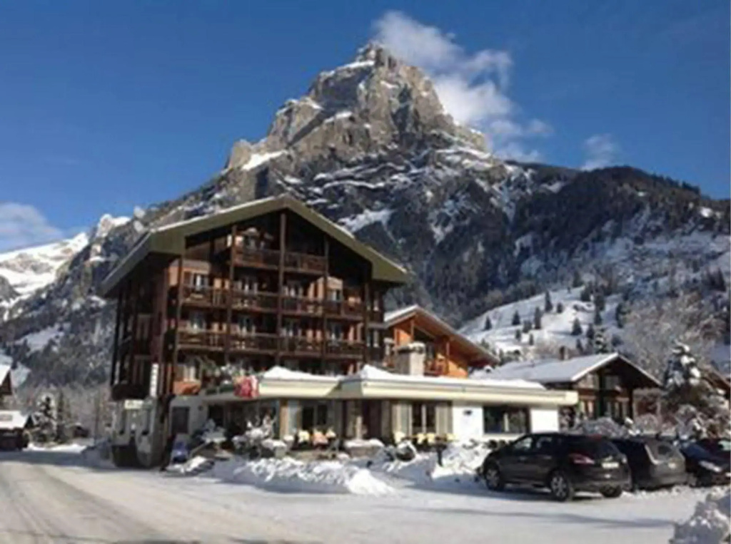 Hotel Blümlisalp - Général