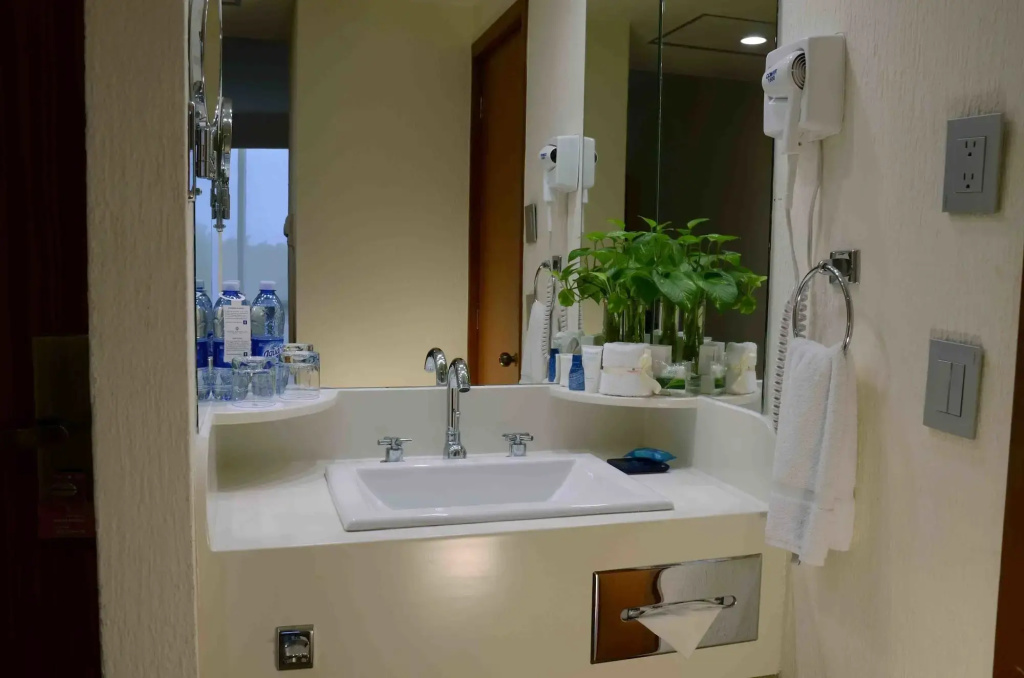 Guadalajara Plaza Expo Business Class - Général