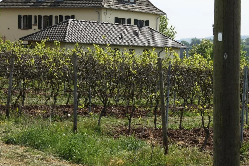 Gstehaus Osterhll