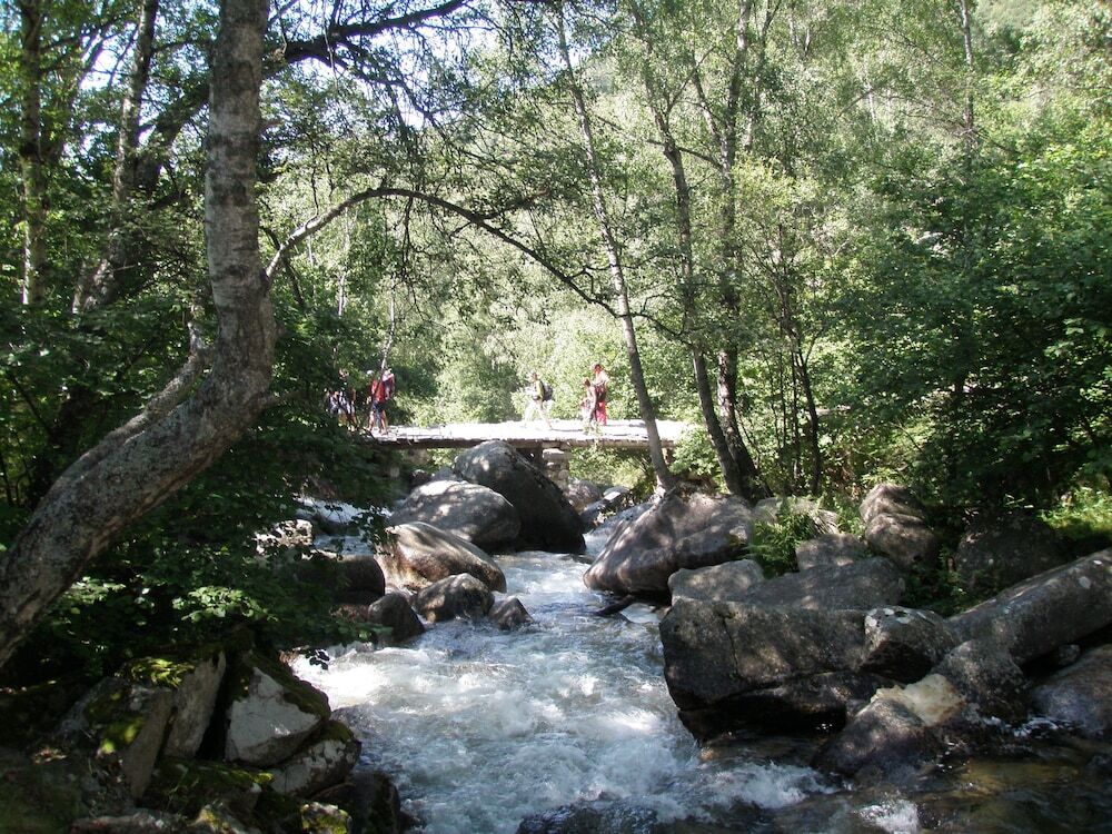 Cerdanya EcoResort & SPA picture