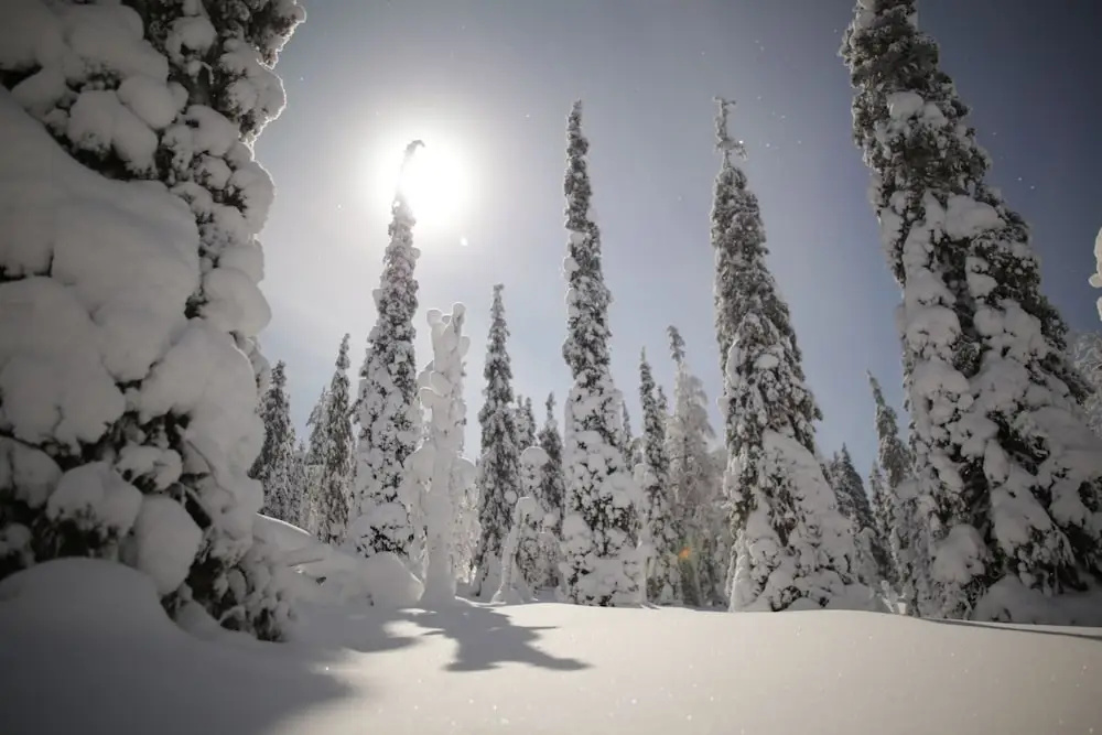Lapland Hotels Akashotelli - Chambres