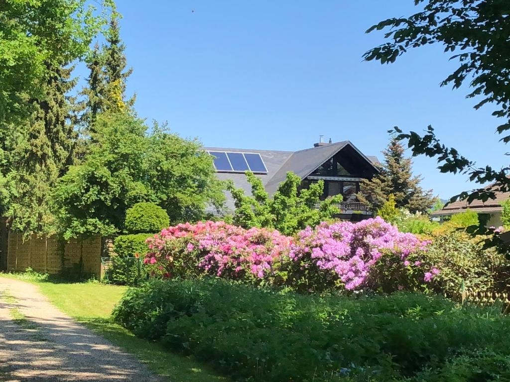 Ferienwohnung Will — 5