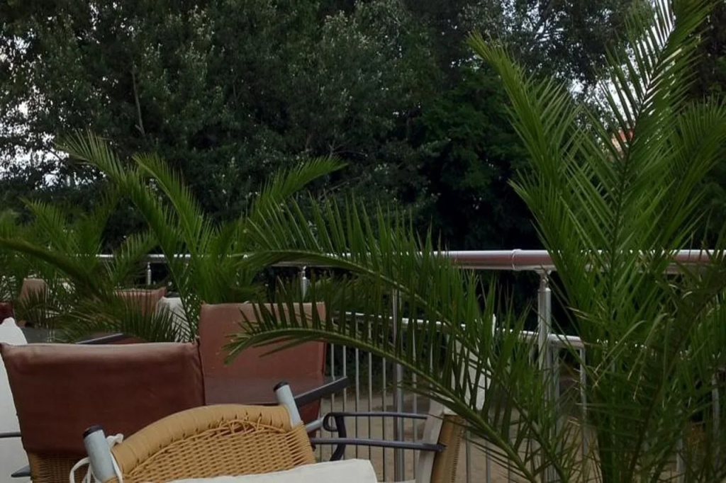 Balcony & Terrace