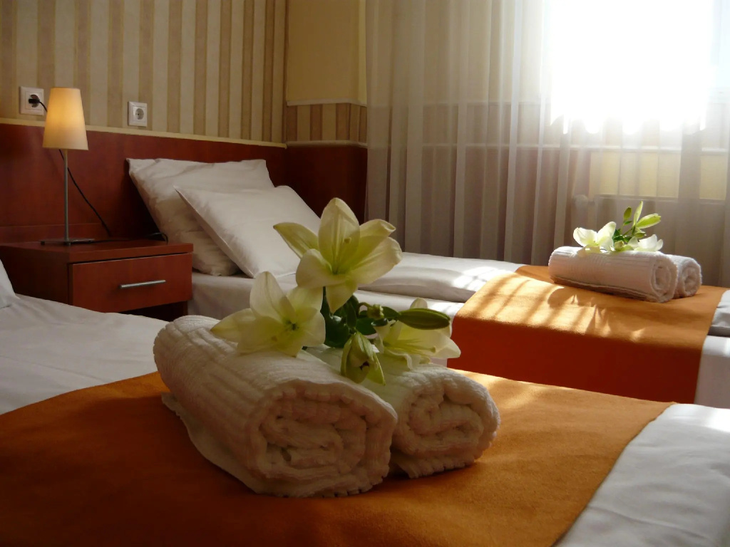 Double room (twin beds)