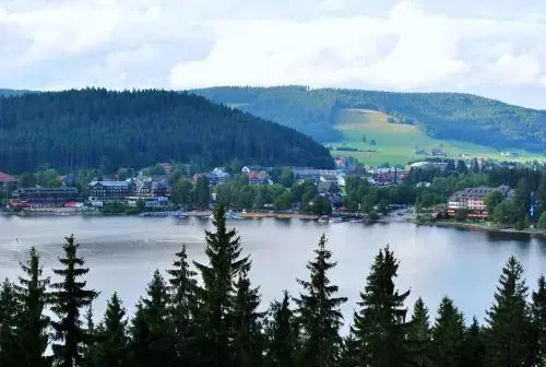 Bergseeblick - Général