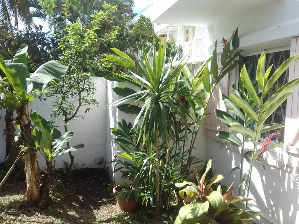 House with 3 Bedrooms in Grand Baie, with Pool Access, Enclosed Garden And Wifi - 500 M From the Beach