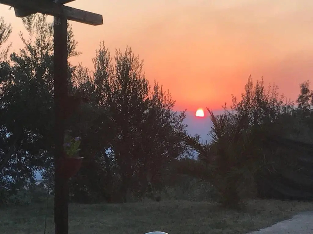 Agriturismo Pingitore