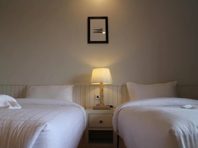 Deluxe Double room (twin beds)