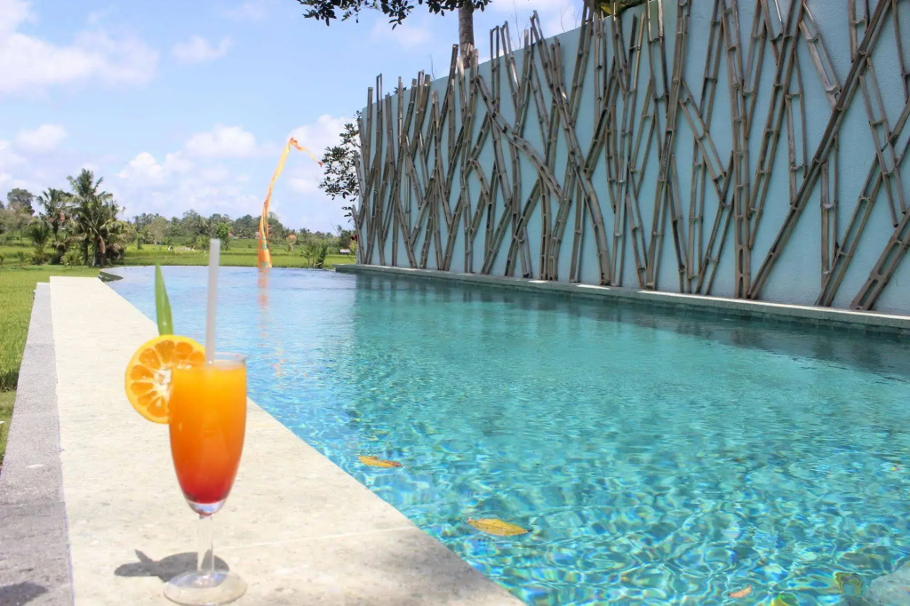 Ubud Padi Villas - Général