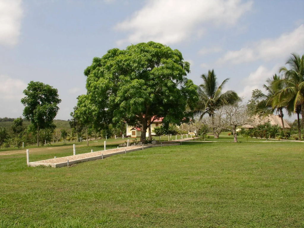 Casa del Caballo Blanco