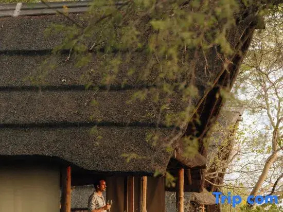 Savute Elephant Lodge, a Belmond Safari
