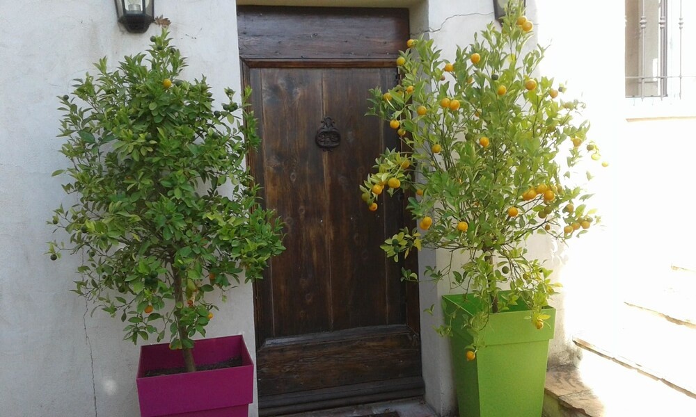 Villa With 4 Bedrooms in Tourrettes-sur-loup, With Wonderful sea View,