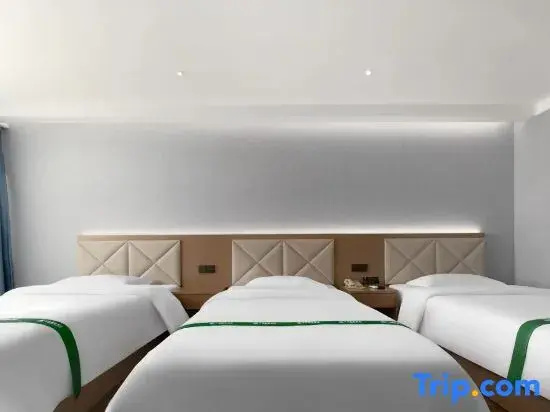 GreenTree Inn Tianjin Beiyang Bridge Business Hotel - Chambres