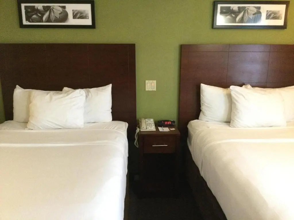 Double room (twin beds)