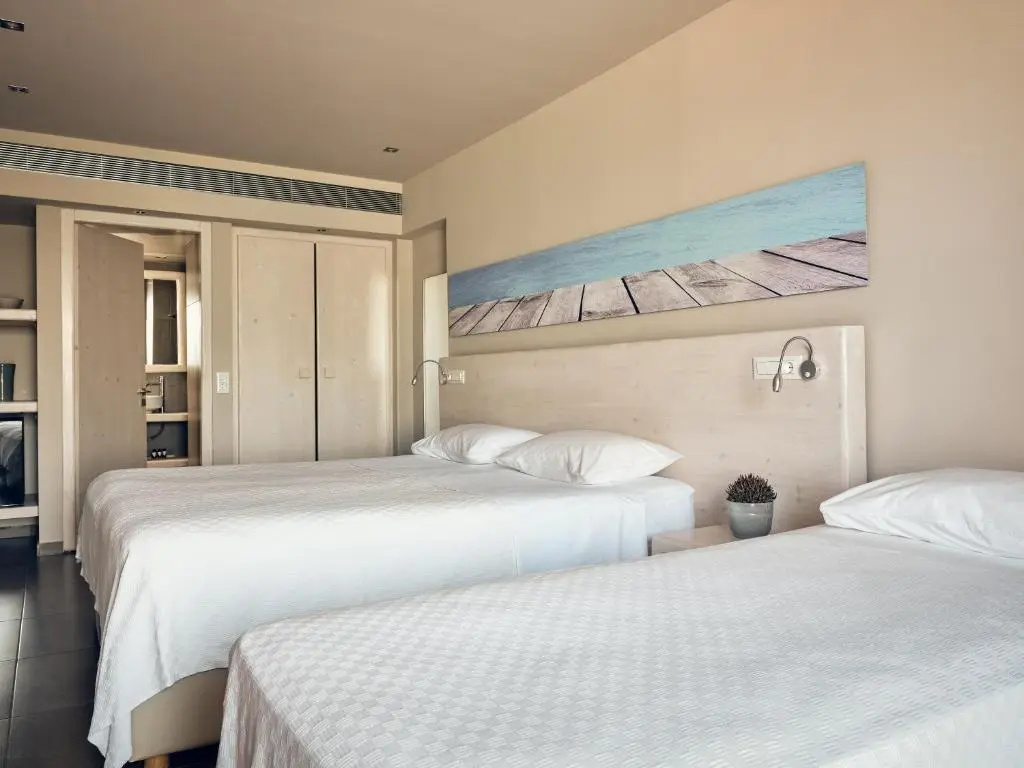 Superior Double room with pool view (full double bed)