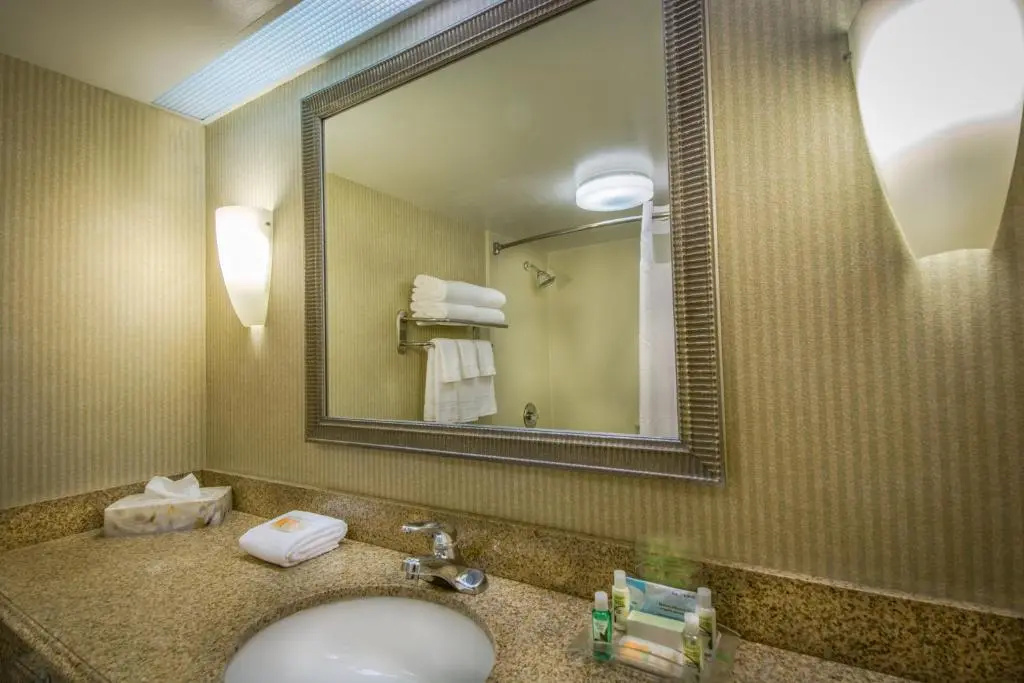 Holiday Inn Arlington at Ballston - Chambres