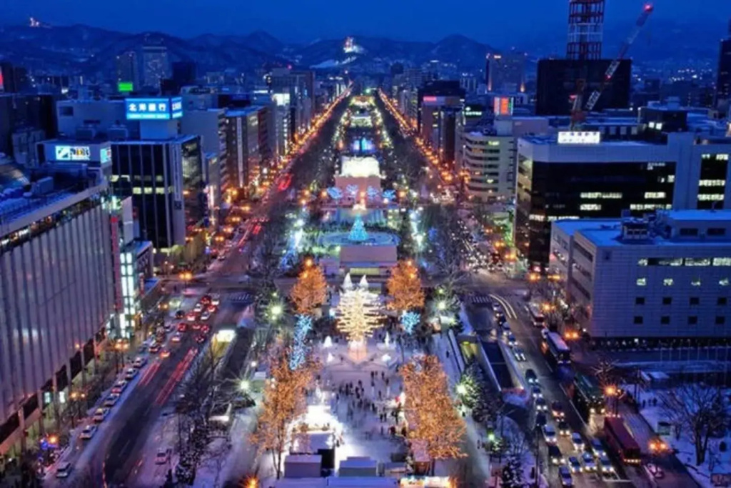 KODATEL Sapporo Odori park 201