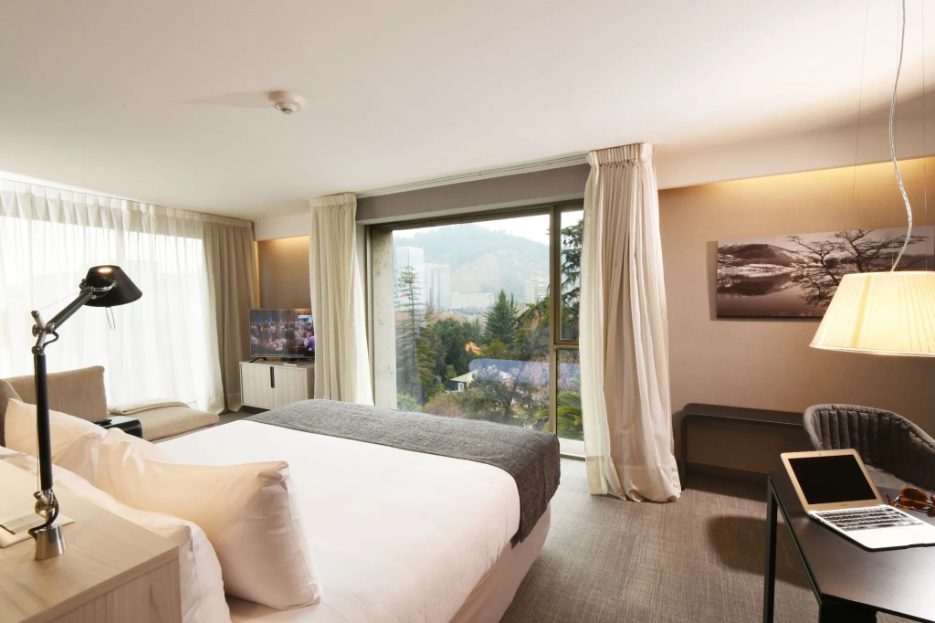 Solace Hotel Santiago - фото 7