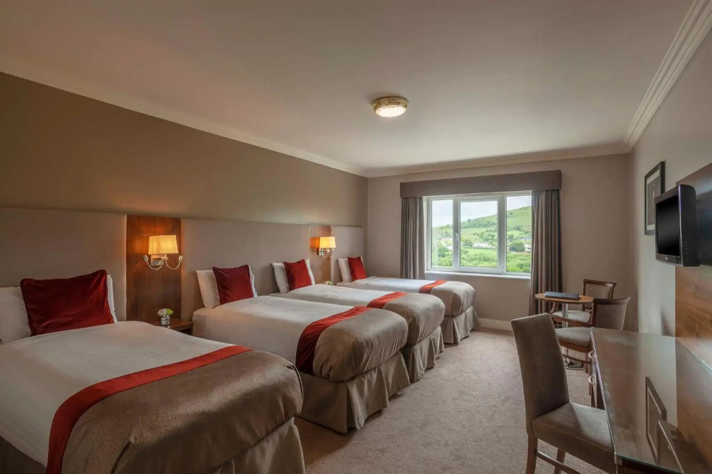 Carrickdale Hotel & Spa - Général